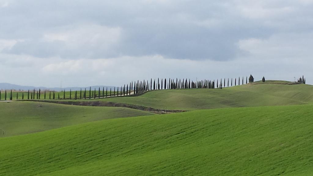 1000 Miglia 3* Monteroni dʼArbia